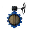 Tdy 4 Inch Electric Wafer Type Butterfly Valve